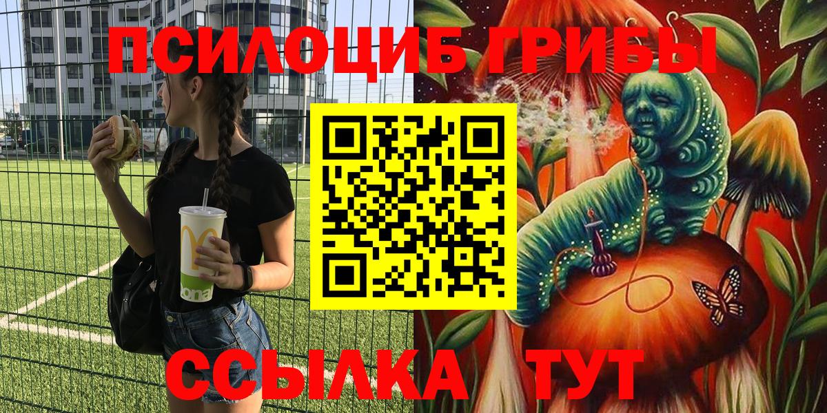 Псилоцибиновые грибы ЛСД  Псилоцибиновые грибы прущие грибы  Людиново  Вход с VPN 