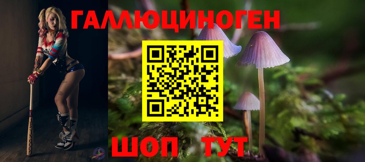 Галлюциногенные грибы MAGIC MUSHROOMS Людиново